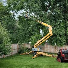 Seasonal Cleanup (Spring/Fall) in Oakland, NE